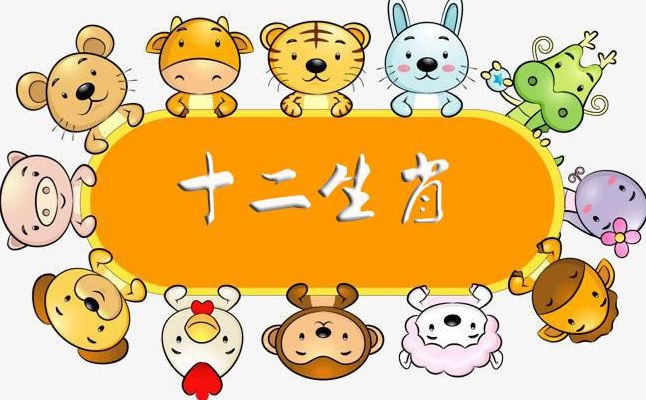 今天属什么生肖2024